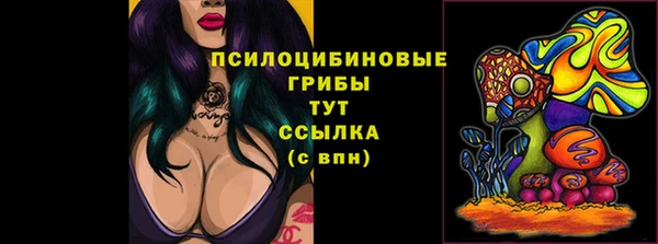 каннабис Аркадак