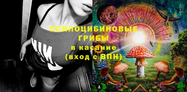 Альфа ПВП Армянск