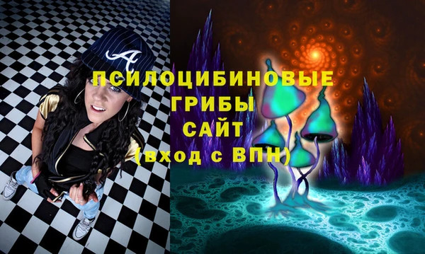 гашиш Арсеньев