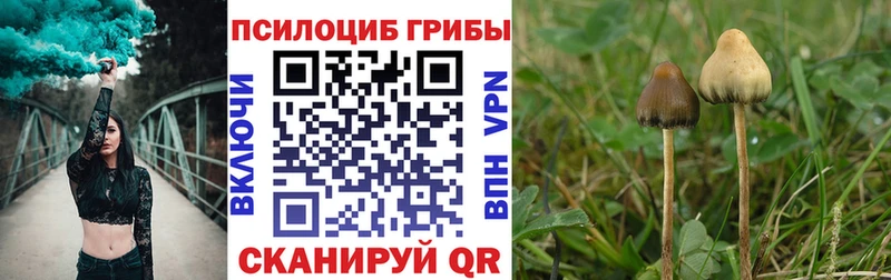 даркнет сайт  Любань  Галлюциногенные грибы GOLDEN TEACHER 