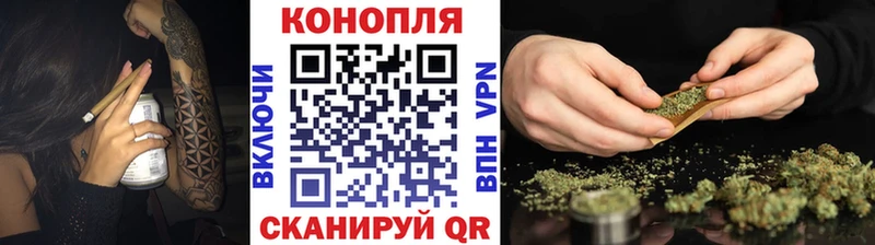 Бошки марихуана гибрид  Любань 